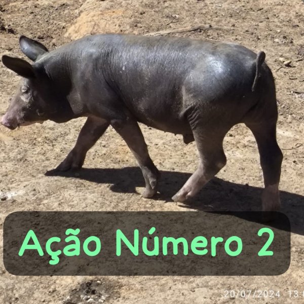 1.500,00 com apenas 0,03 centavos