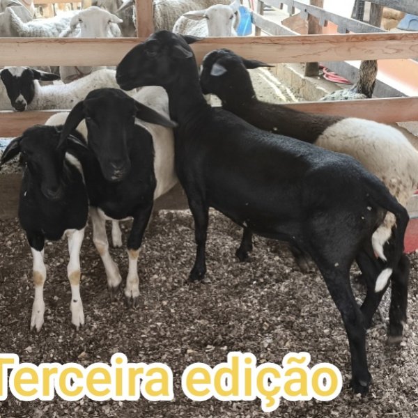 1.500,00 com apenas 0,03 centavos