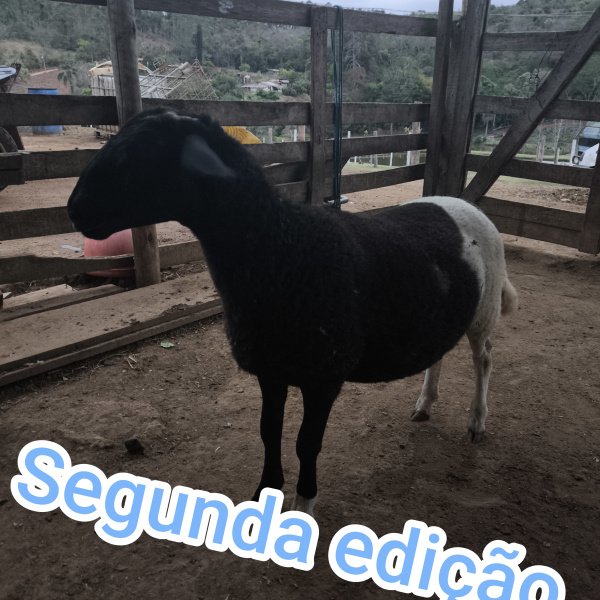 1.500,00 com apenas 0,03 centavos