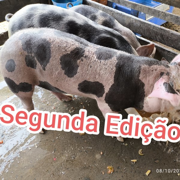 1.500,00 com apenas 0,03 centavos