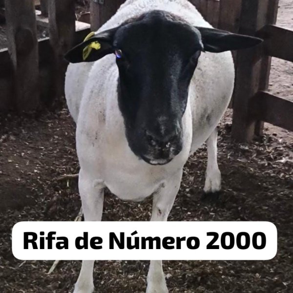 1.500,00 com apenas 0,03 centavos