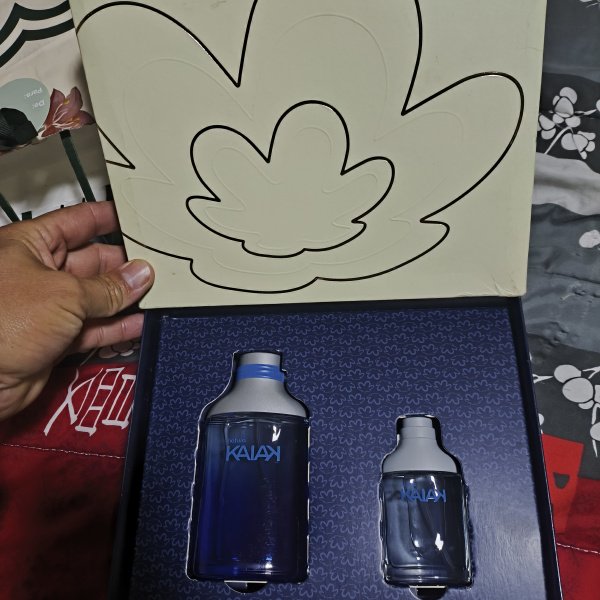 Abelha Sem Ferrão Manduri ou Kit Colônia ou R$300 no Pix