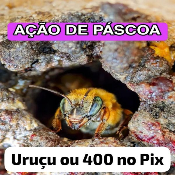 1.500,00 com apenas 0,03 centavos